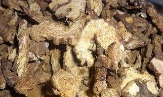 白术爆料最新,揭秘娱乐圈幕后真相，明星隐私大曝光！