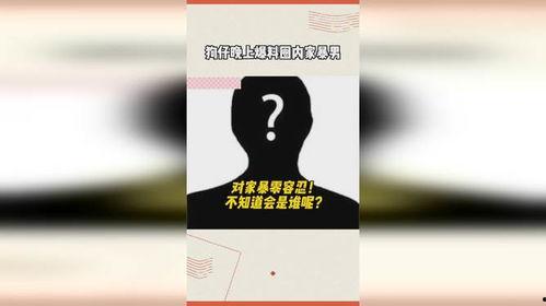 狗仔晚上爆料娱乐圈家暴,真相与反思 第3张 狗仔晚上爆料娱乐圈家暴,真相与反思 第3张